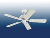 photo of product