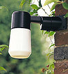 photo of product