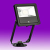 Product image for Collingwood - Floodlights