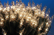 160 Chasing / Static Christmas Lights - Clear