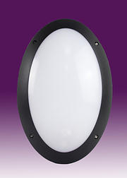 Latina II Range 12w LED Oval Bulkhead Black product image