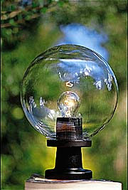 Garden 200mm / 250mm Globes - Clear product image