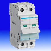 Hager 100A DP Main Switch product image