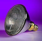 PAR38 Reflector Spot Lamps product image