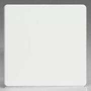 Premium White Flat Plate - Blank Plates product image