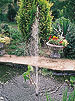 Adding a fountain and waterfall feature