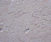 AG MHA90 product image