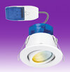 R62 4/6W LED Tilt Adjustable Downlight CCT IP65 - White