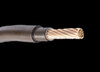 All Cable - Tails product image
