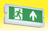 All Emergency Lighting - Non Maintained product image