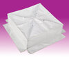 FH FR600 product image