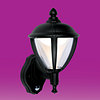 Security Lighting with Sensor - Black product image