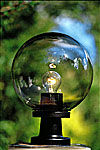 All Garden Lighting - Garden Lighting product image