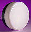 All 100w GLS Lamp Utility Bulkheads - Utility Bulkheads product image