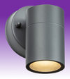Single GU10 LED Fixed Wall Light - Anthracite - IP55