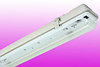 Fluorescent and LED Strip Lights