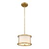 ET GNLEMURIAMP product image