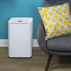 Compact Compressor Dehumidifier - 10L