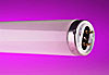 All Lamps - Fluorescent / LED Tubes product image