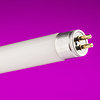 Product image for White / Coolwhite T12, T8, T5