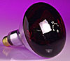 Product image for Heat Lamps