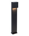 Product image for Gemini