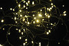 Product image for Tree Lights