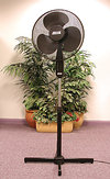 TL FAN16PED product image