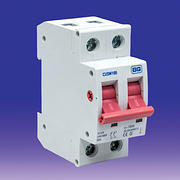 BG Electrical 100A DP Main Switch CUSW100 product image