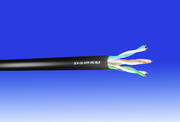 CAT6 External 4pr UTP Network Cable product image