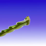 CK QCDRILL12 product image 2