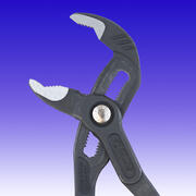 CK T3653-250 product image 3