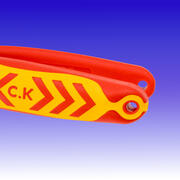 CK T3973A-210 product image 3
