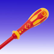 CK T49243-2 product image 2