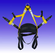 CK T8009 product image 2
