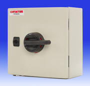 Contactum - TP&N Switchfuse product image