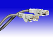 CAT6 Patch Leads product image