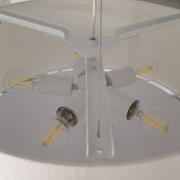 ET DL-PEARCE26-IVPC product image 4