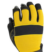 DW FFG product image 3