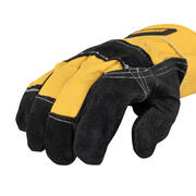 DW RG product image 4