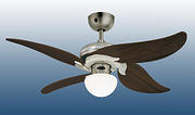 Ceiling Fans