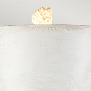 ET FB-PETRA-TL product image 3