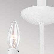 ET FE-ANNIE3-PSW product image 4