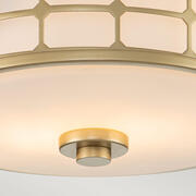 ET QZ-GUARDIANF-PNBR product image 4