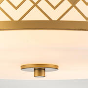 ET ZIGGY-F-M-LG product image 3