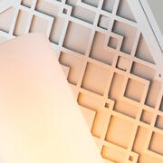ET ZIGGY1-LS product image 5