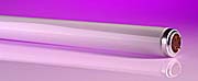 Ultra Violet Fluorescent Tubes - T5 -T8 - T12 product image