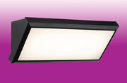 Nitro LED Resin Wall Light product image