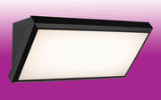 Nitro LED Resin Wall Light product image 2