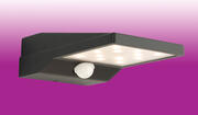 Cyrus LED Solar Light with PIR product image